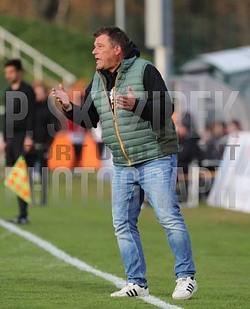 35.Spieltag BFC Dynamo - Tennis Borussia Berlin,