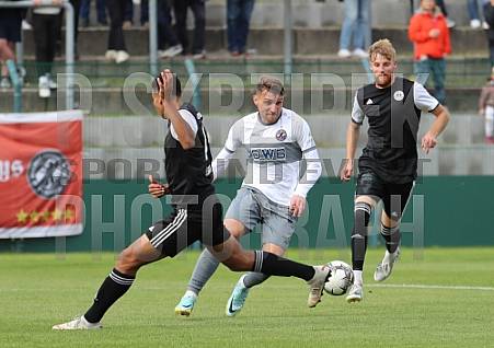 8.Spieltag BFC Dynamo - Tennis Borussia Berlin,