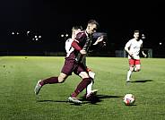 24.Spieltag BFC Dynamo - ZFC Meuselwitz,