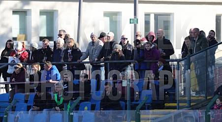 15.Spieltag BFC Dynamo - VfB Auerbach,