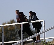 8.Spieltag BFC Dynamo U19 - FC Energie Cottbus U19 ,