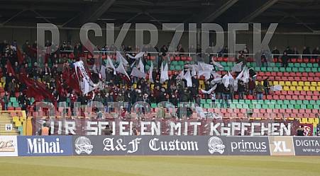 Viertelfinale Berliner Pilsner-Pokal  BFC Dynamo - SV Lichtenberg 47