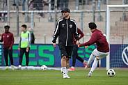 28. Spieltag FSV Zwickau - BFC Dynamo