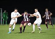 26.Spieltag BFC Dynamo - SV Babelsberg 03,