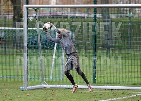 11.11.2022 Training BFC Dynamo 11.11.2022 Training BFC Dynamo