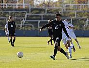 8.Spieltag BFC Dynamo U19 - FC Energie Cottbus U19 ,