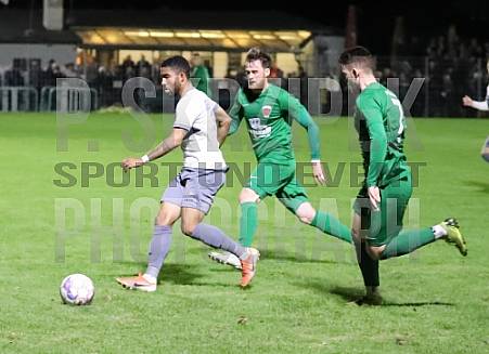 2.Runde AOK-Landespokal Füchse Berlin - BFC Dynamo