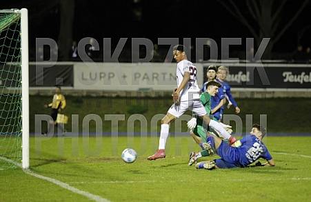 23.Spieltag FC Hertha 03 Zehlendorf - BFC Dynamo