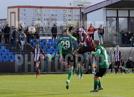 17.Spieltag BFC Dynamo - FSV Union Fürstenwalde,