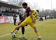 26.Spieltag BFC Dynamo - VFC Plauen