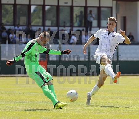 24.Spieltag BFC Dynamo U19 - Hallescher FC U19,