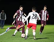 24.Spieltag BFC Dynamo - ZFC Meuselwitz,