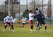 Testspiel BFC Dynamo - SV Babelsberg 03,