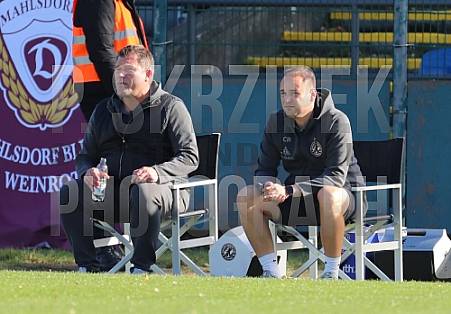 15.Spieltag BFC Dynamo - VfB Auerbach,