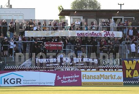 BFC Dynamo - BFC Dynamo Allstars Team,