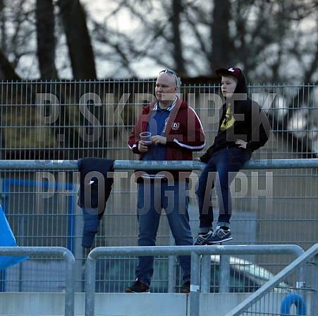 23.Spieltag TSG Neustrelitz - BFC Dynamo