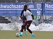 Testspiel SV Babelsberg 03 - BFC Dynamo
