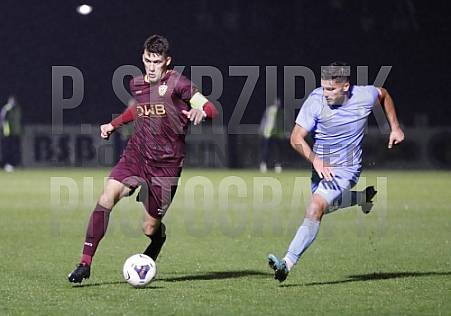 12.Spieltag BFC Dynamo - FC Viktoria 1889 Berlin