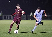 12.Spieltag BFC Dynamo - FC Viktoria 1889 Berlin