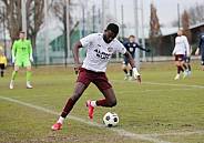 Testspiel BFC Dynamo - SV Babelsberg 03,