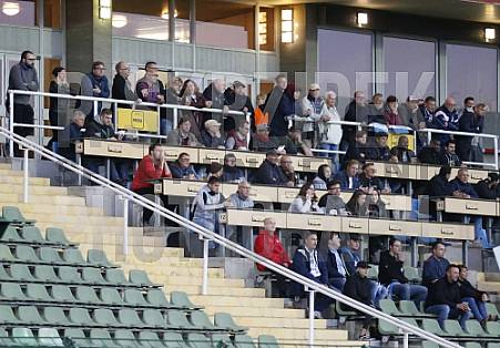 6.Spieltag BFC Dynamo - TSG Neustrelitz