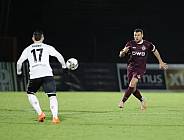 18.Spieltag BFC Dynamo - ZFC Meuselwitz,