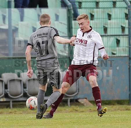 Testspiel BFC Dynamo - SV BW Petershagen/Eggersdorf