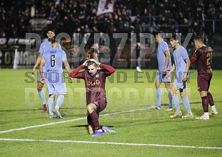 12.Spieltag BFC Dynamo - FC Viktoria 1889 Berlin