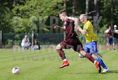 Testspiel HSV Fortuna Friedersdorf Gussow - BFC Dynamo