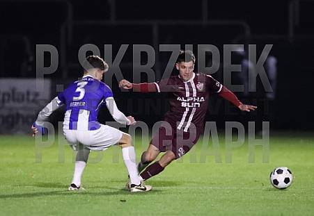 16.Spieltag BFC Dynamo -  Hertha BSC II