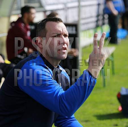 29.Spieltag BSG Chemie Leipzig - BFC Dynamo