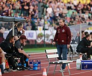 Halbfinale Berliner Pilsner-Pokal BFC Dynamo - Tennis Borussia Berlin