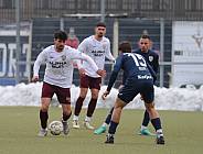 Testspiel SV Babelsberg 03 - BFC Dynamo