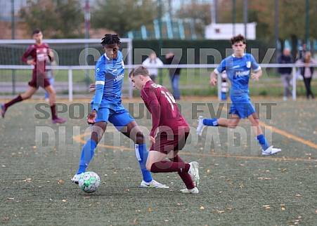 7.Spieltag BFC Dynamo U19 - VSG Altglienicke U19,