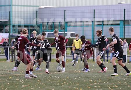 8.Spieltag BFC Dynamo U17 - 1.FC Union U16