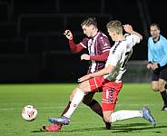 24.Spieltag BFC Dynamo - ZFC Meuselwitz,