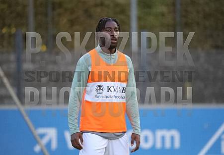 7.Spieltag Hertha BSC II - BFC Dynamo