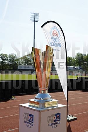 Pokalfinale VSG Altglienicke - BFC Dynamo,