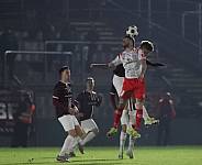 18.Spieltag BFC Dynamo - Hallescher FC