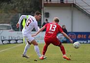 20.Spieltag ZFC Meuselwitz - BFC Dynamo