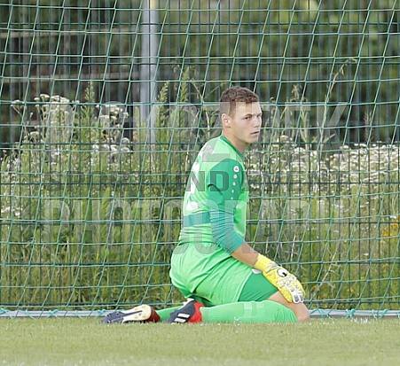 Testspiel BFC Dynamo - Hertha 03 Zehlendorf , Testspiel BFC Dynamo - Hertha 03 Zehlendorf ,