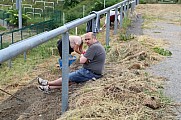 Arbeitseinsatz im Sportforum Berlin im Stadion