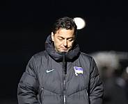28.Spieltag BFC Dynamo - Hertha BSC II,