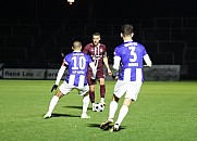 16.Spieltag BFC Dynamo -  Hertha BSC II