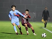 14.Spieltag BFC Dynamo - FC Viktoria 1889 Berlin