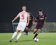 17.Spieltag BFC Dynamo - Lichtenberg 47,