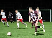 24.Spieltag BFC Dynamo - ZFC Meuselwitz,