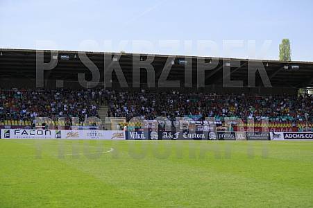 31.Spieltag BFC Dynamo - Hertha BSC II ,