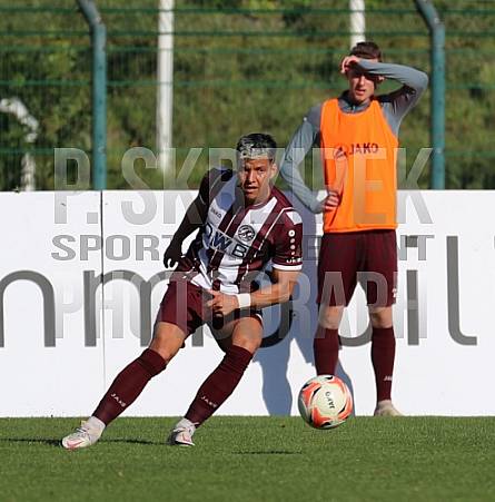 15.Spieltag BFC Dynamo - VfB Auerbach,