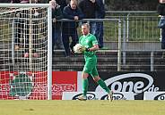 20.Spieltag ZFC Meuselwitz - BFC Dynamo